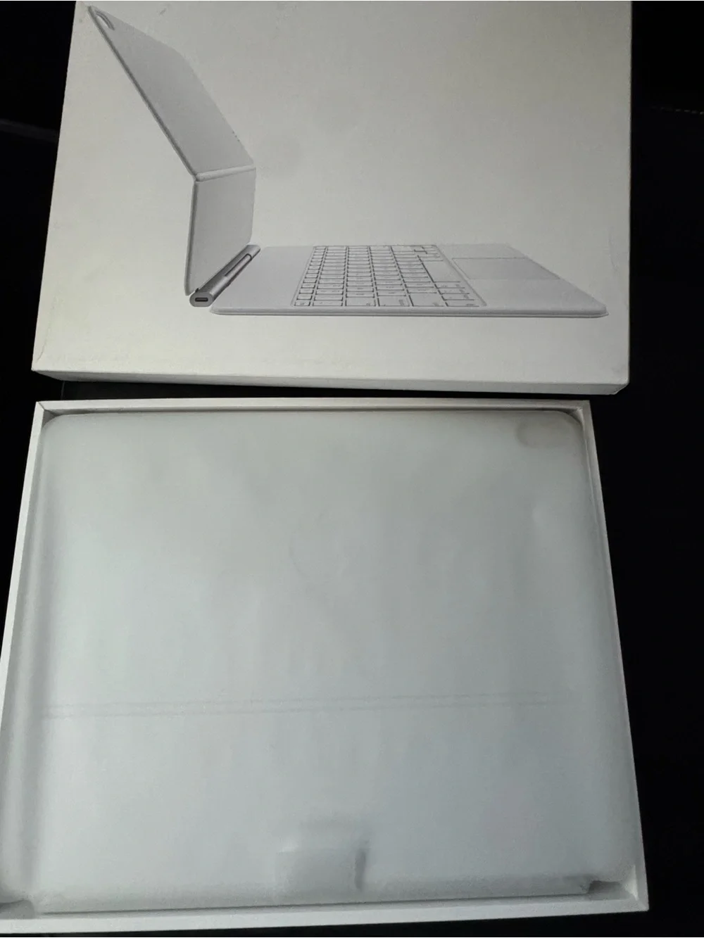 Apple iPad Magic Keyboard - White and Silver